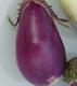 #1: Aubergine Benarys Blauk�nigin