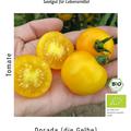Cocktailtomate Dorada BIO