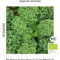 Gr�nkohl - Niedriger Gr�ner Krauser BIO Federkohl 