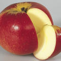 Apfel Paradis Werdenberg� (syn. Idylla)