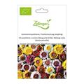 Sommerchrysantheme, Prachtsmischung (einj�hrig)