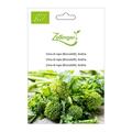 Cima di rapa (Broccoletti), Andria