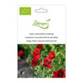 Mohn, Marienk�fer (einj�hrig)