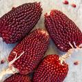 Erdbeermais, Zea mays, Gem�se, Ziermais