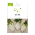 Fenchel, Latina