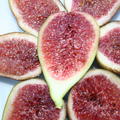 Fruchtfeige Gustis� Perretta