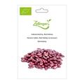 Buschbohne (Indianerbohne), Red Kidney