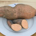 S�sskartoffel, Ipomoea batatas, Thanksgiver Orange