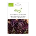 Asiatisches Blattgem�se, Senf 'Roter filigraner'