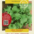 Asia-Salat (Blattsenf) 'Green in Snow'