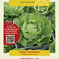 Kopfsalat 'Ovation'