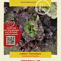 Kopfsalat 'Roter Butterh�uptel'