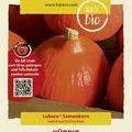 K�rbis 'Red Kuri' (Hokkaido)