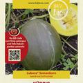 K�rbis 'Vert Olive'