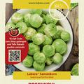 Rosenkohl 'Groninger'