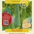 Schwammgurke (Luffa)
