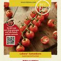 Tomaten 'Resi' Samen