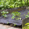 Mulchvlies Unkrautvlies Infesta