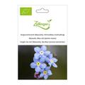 Vergissmeinnicht (Myosotis), Himmelblau (mehrj�hrig)