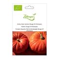 K�rbis, Roter Zentner