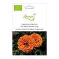 Ringelblume, Orange Pracht