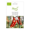 Tomate, Orange Dattel