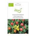 Tomate, Peruanische Wildtomate