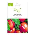 Tomate, Baumtomate