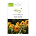 Sonnenblume, Goldy Double