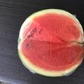 Aus unserem Glash�uschen. War sehr lecker!