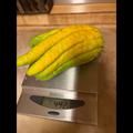 auff�llig gro�e Bl�te, die im Laufe einer Sommersaison zu einer beeindruckenden Frucht reift