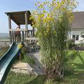 Hoch hinaus