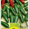 Paprika 'Jalape�o'