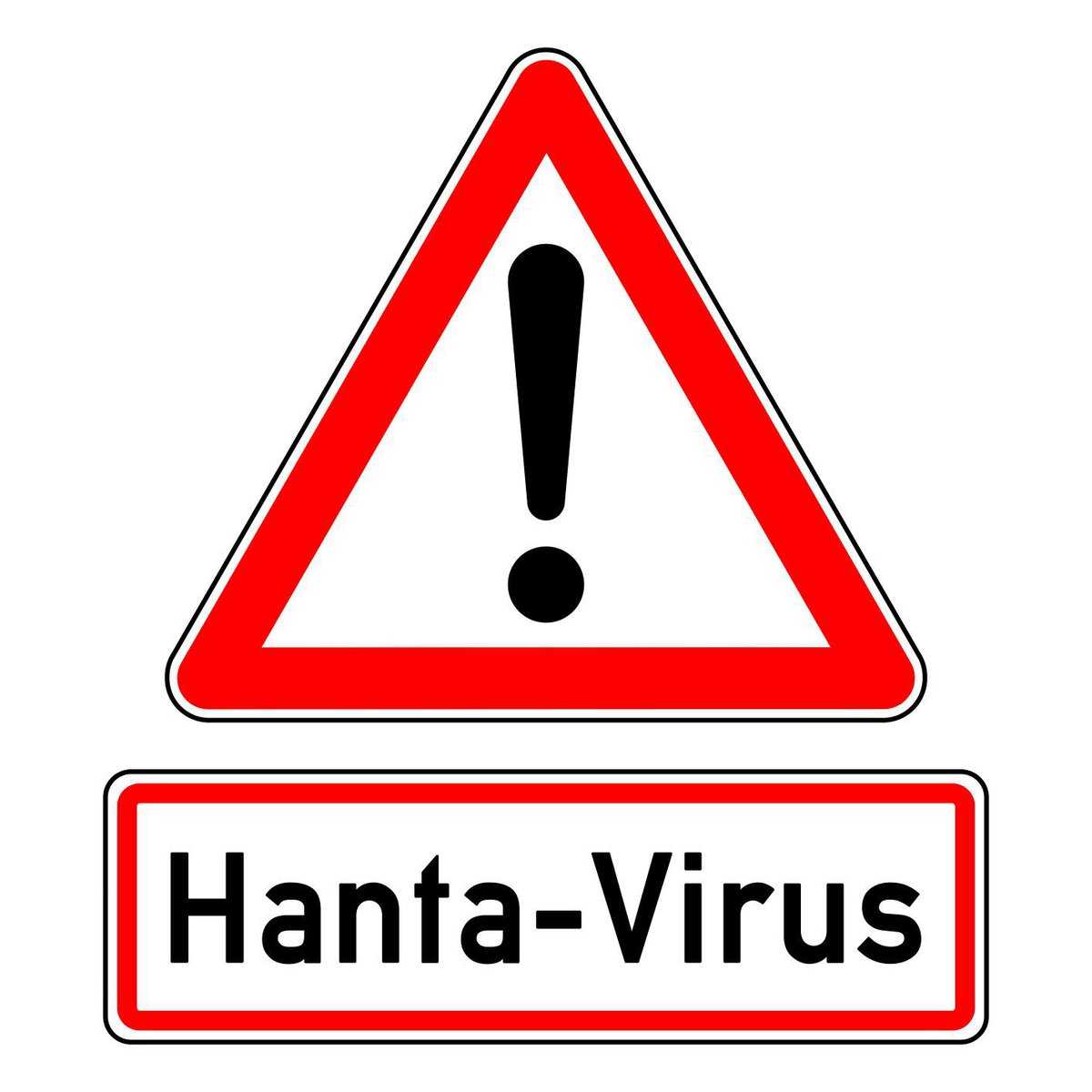 Le hantavirus se transmet par les excr�ments de souris