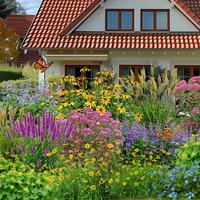 parterre de fleurs sans entretien