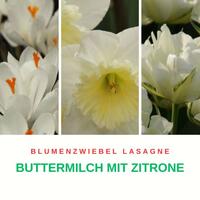 Lasagnes de bulbes � fleurs