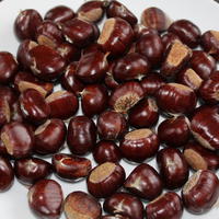 Ch�taigniers