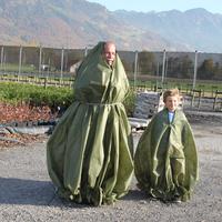 Protection hivernale pour plantes