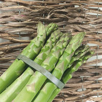 Asperges