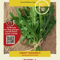 Graines de salades