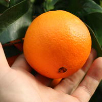 Oranger
