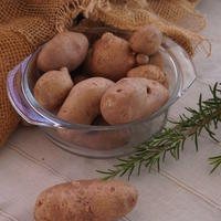 Pomme de terre de consommation et de semence Revoluzzer� 'Bravera'�