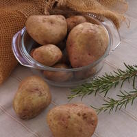Plants de pommes de terre