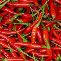 Piments