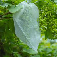 Accessoires de plantation