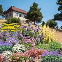 Parterres de fleurs mellif�res
