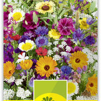 M�langes de fleurs