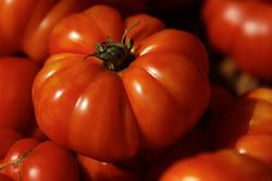Tomate ancienne Photo de couverture pixabay, heirloom