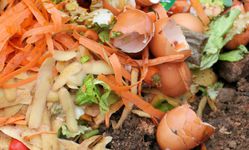 Acheter un bokashi ou composteur japonais, jardinerie Lubera