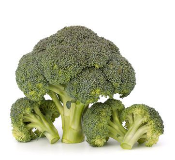Brocoli : culture, fiche plante, entretien et r�colte